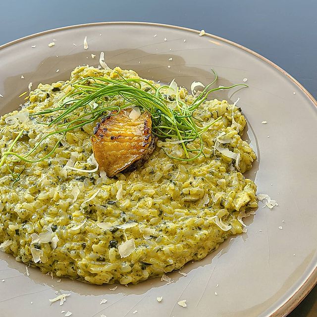 출처 : 시즈너 인스타그램 검색 결과