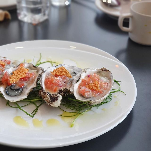 출처 : 시즈너 인스타그램 검색 결과