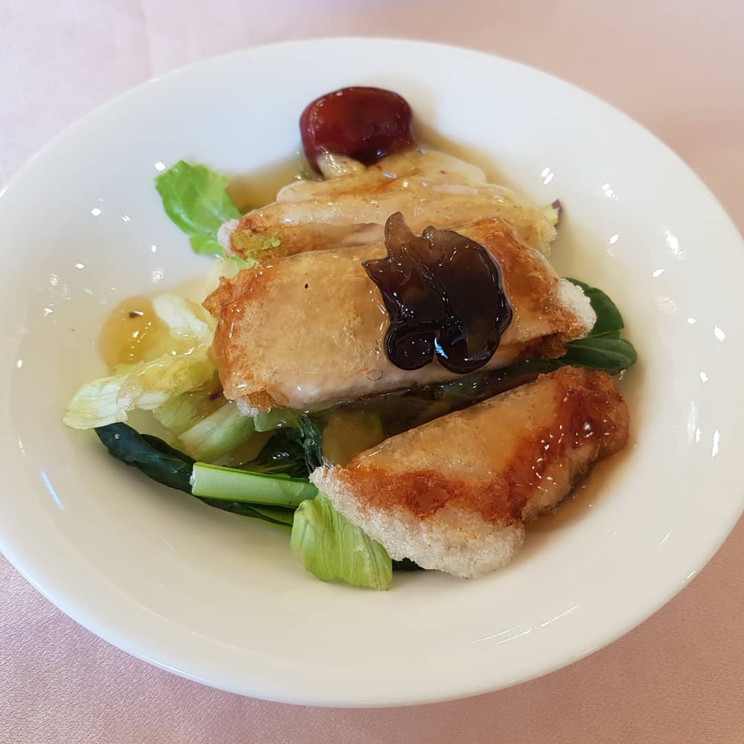 출처 : 하이보 인스타그램 검색 결과