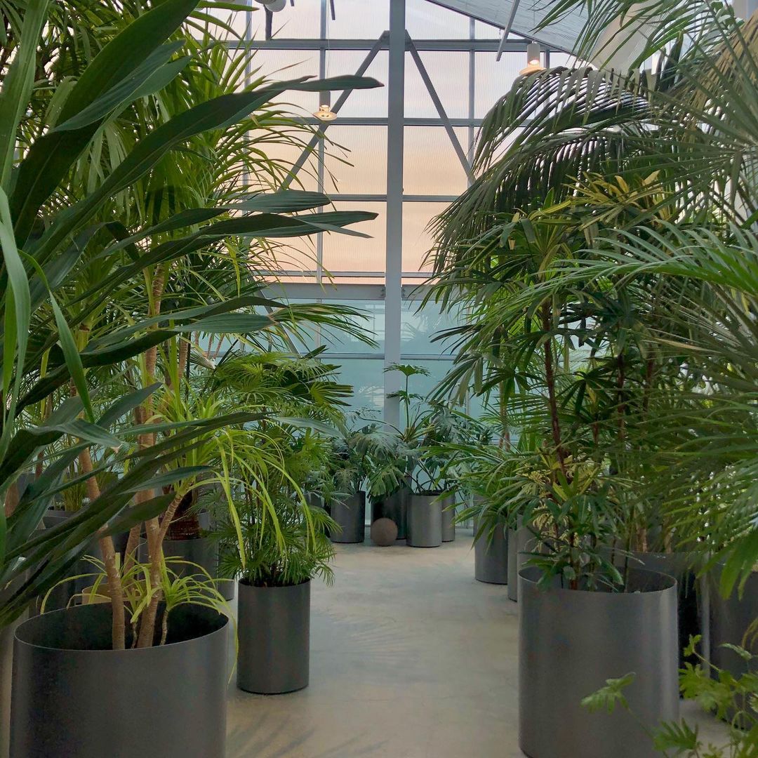 place_img