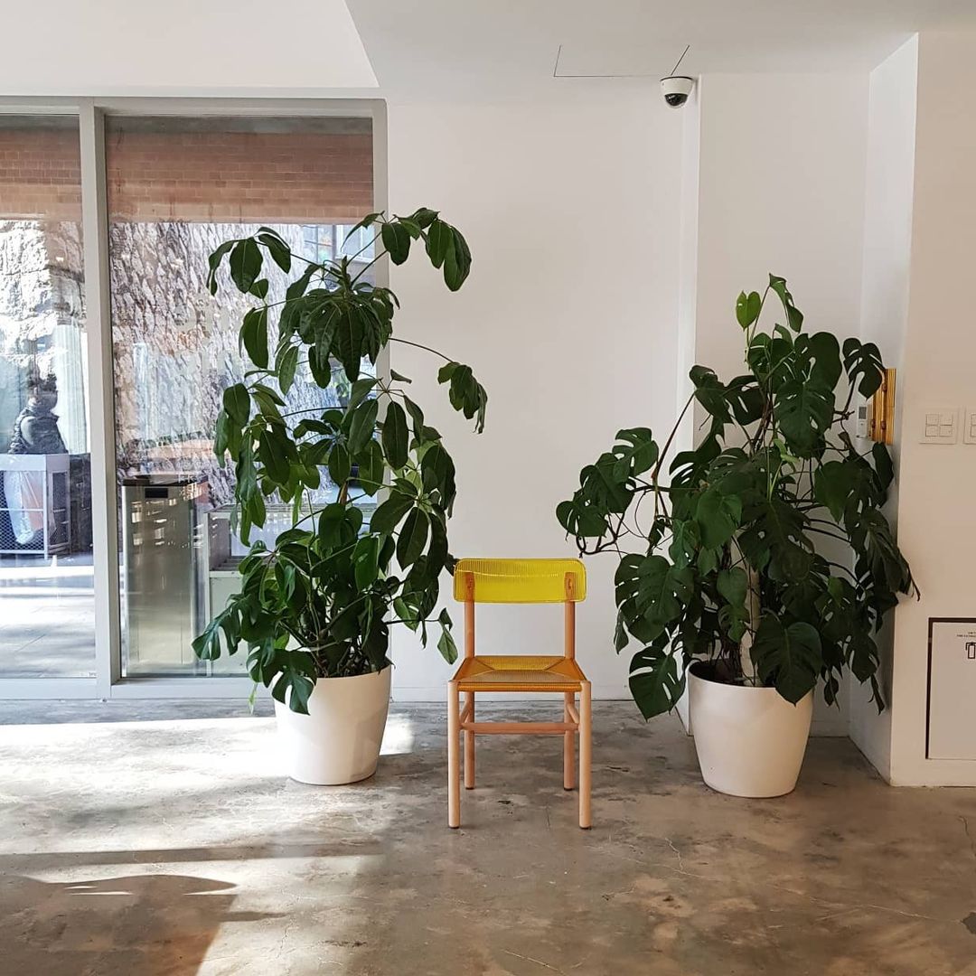 place_img