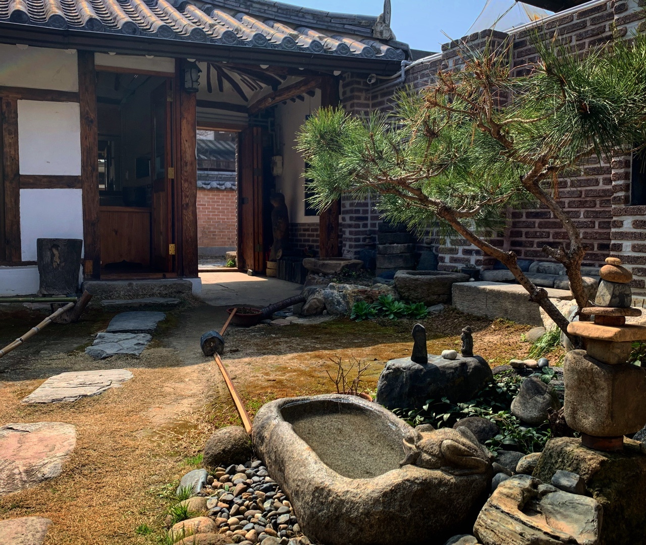 출처 : 교동다원 공식 점주 제공