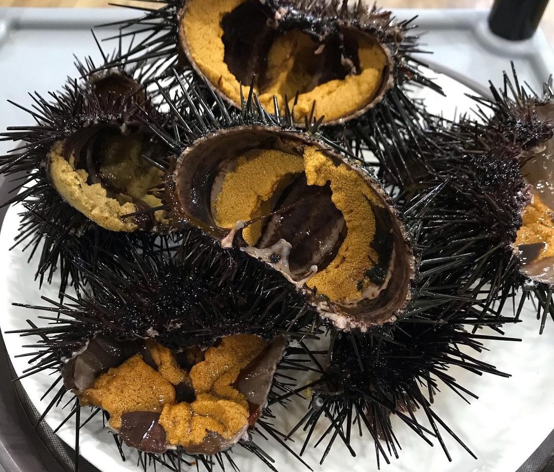 출처 : 용기포횟집 공식 인스타그램