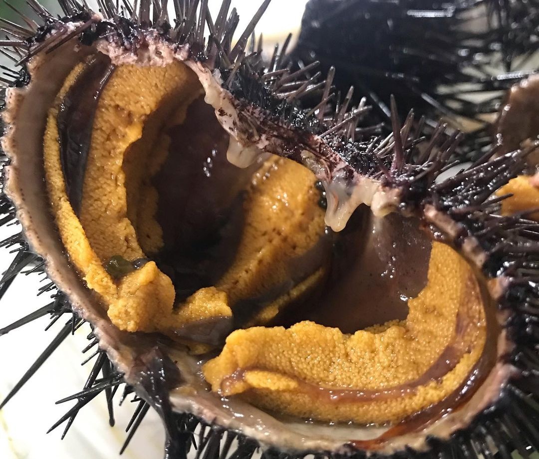 출처 : 용기포횟집 공식 인스타그램