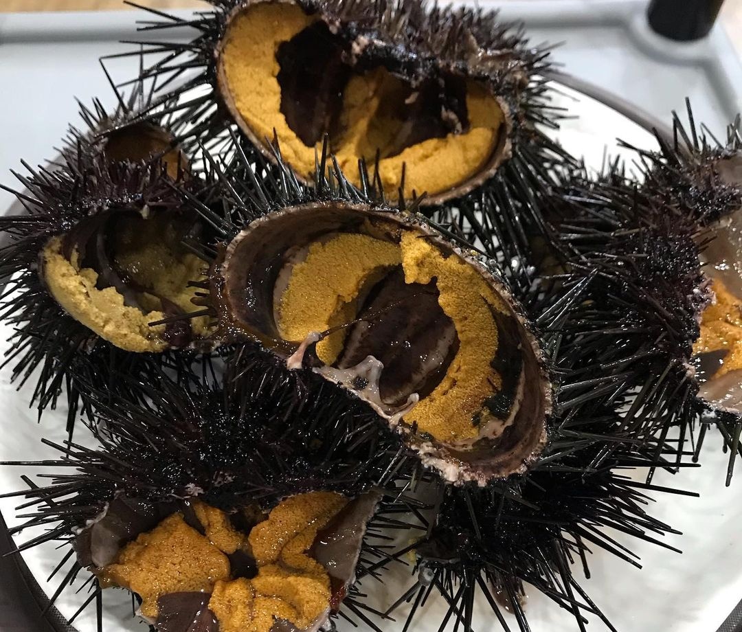 출처 : 용기포횟집 공식 인스타그램