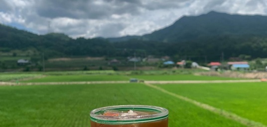 카페귀래앤