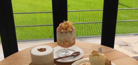 카페진리