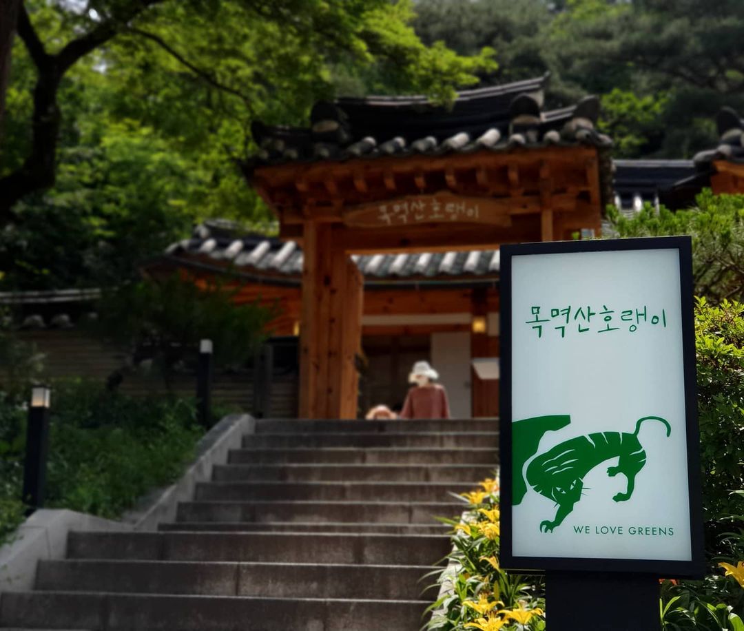 출처 : faugh08님의 인스타그램