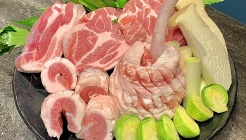 육지 매장 이미지