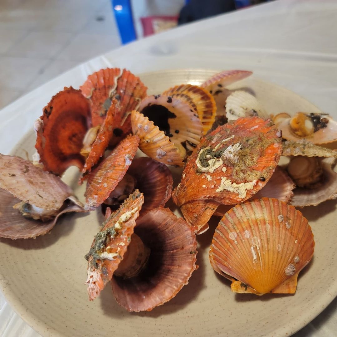 서브2