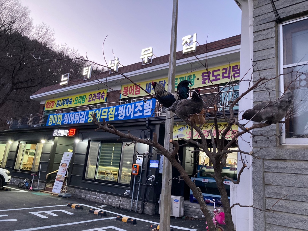 place_img