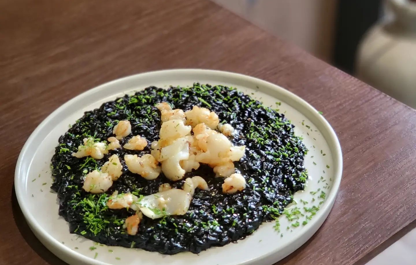 출처 : 세디치 공식 인스타그램