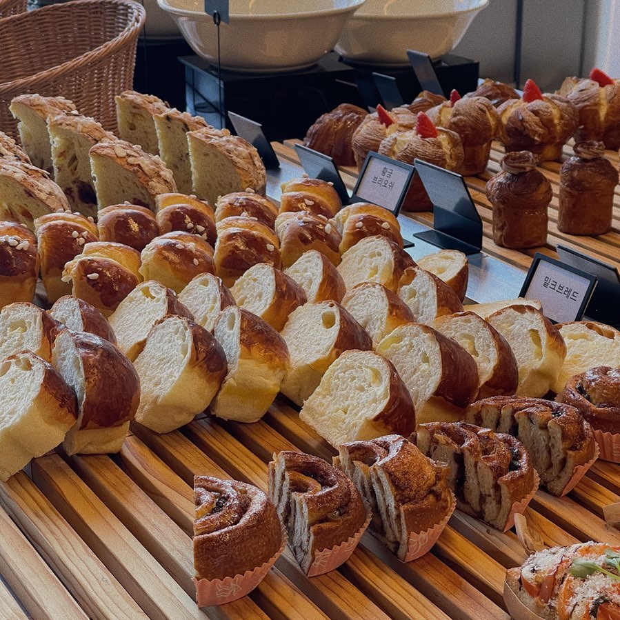 출처 : 아보고가 인스타그램 검색 결과