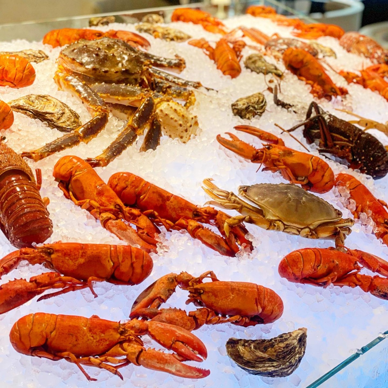 부농정육식당 - 서울 강남, 잠실 석촌호수 | 맛집검색 식신