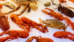 크랩52 매장 이미지