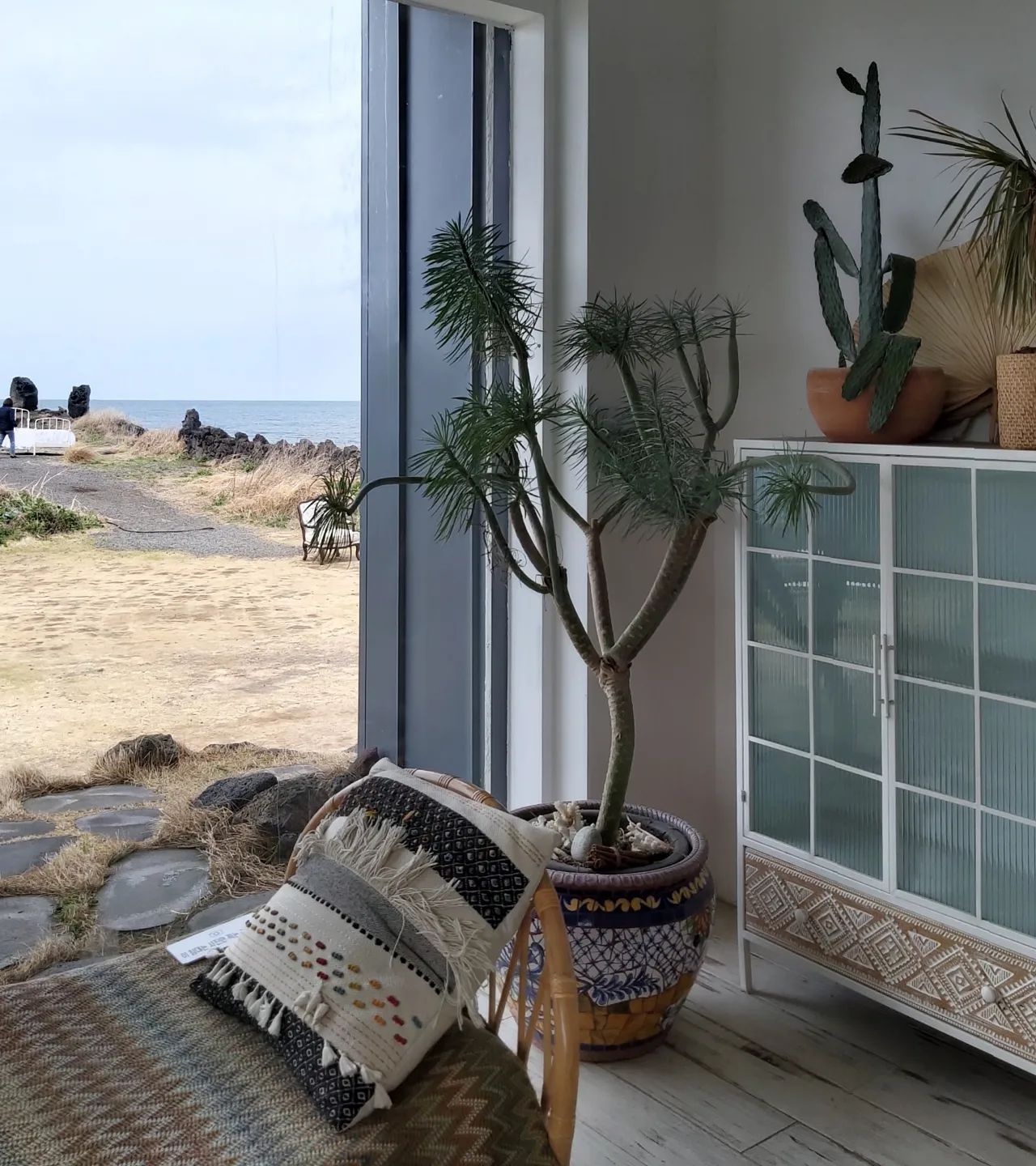 출처 : 카페모알보알 제주점 인스타그램 검색 결과