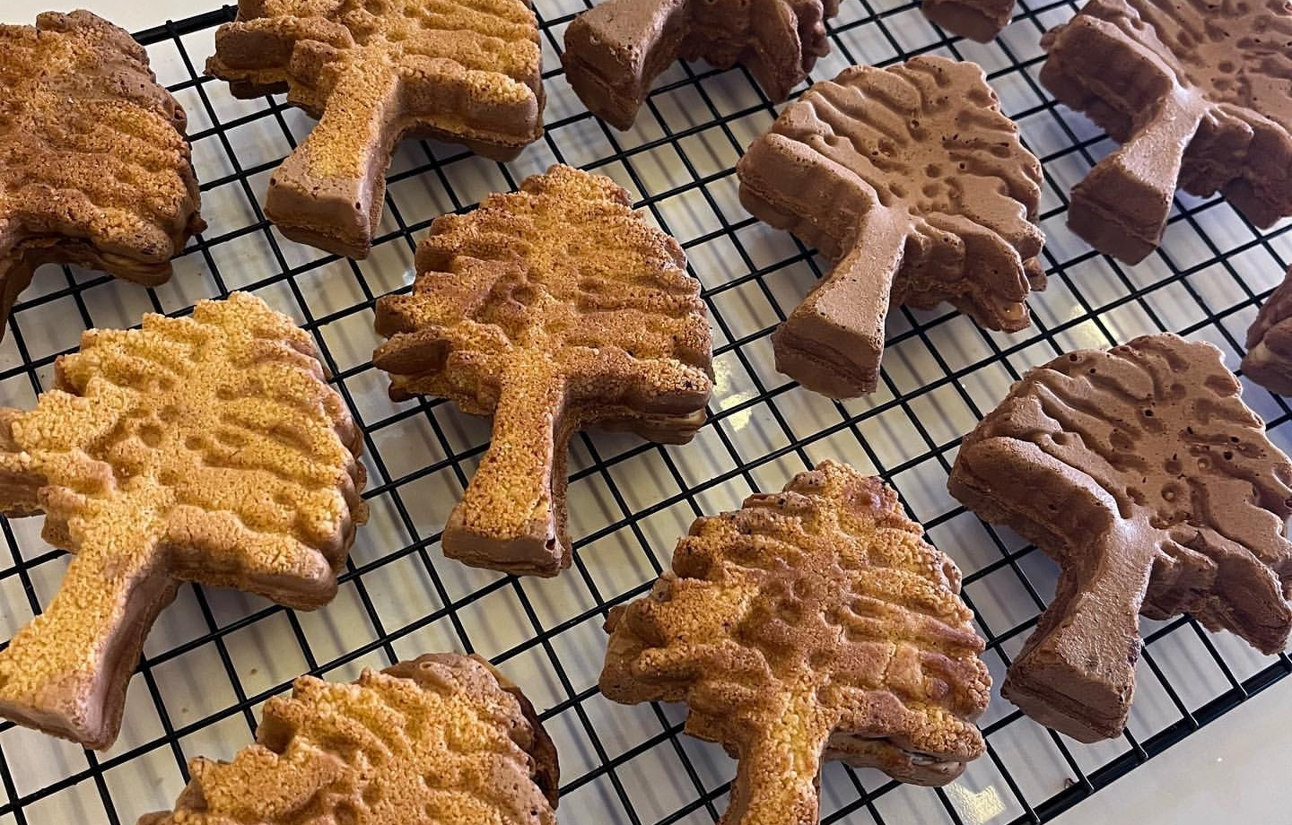 출처 : 대주디저트전문카페 조은가 인스타그램 검색 결과