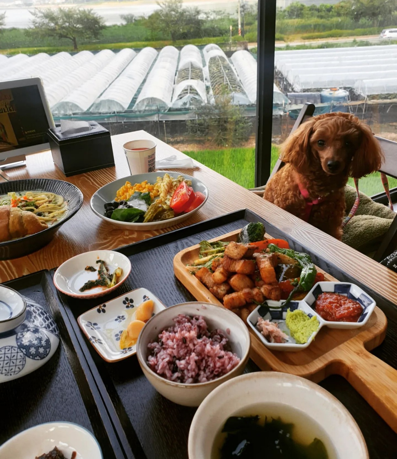 서브1
