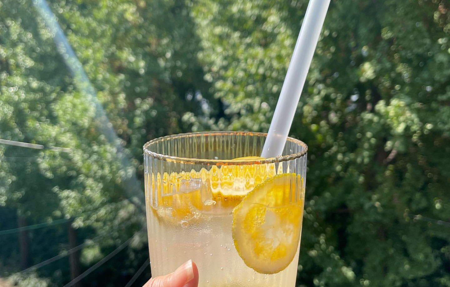 출처 : 송정커피 인스타그램 검색 결과