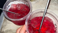 제제 라운지 매장 이미지