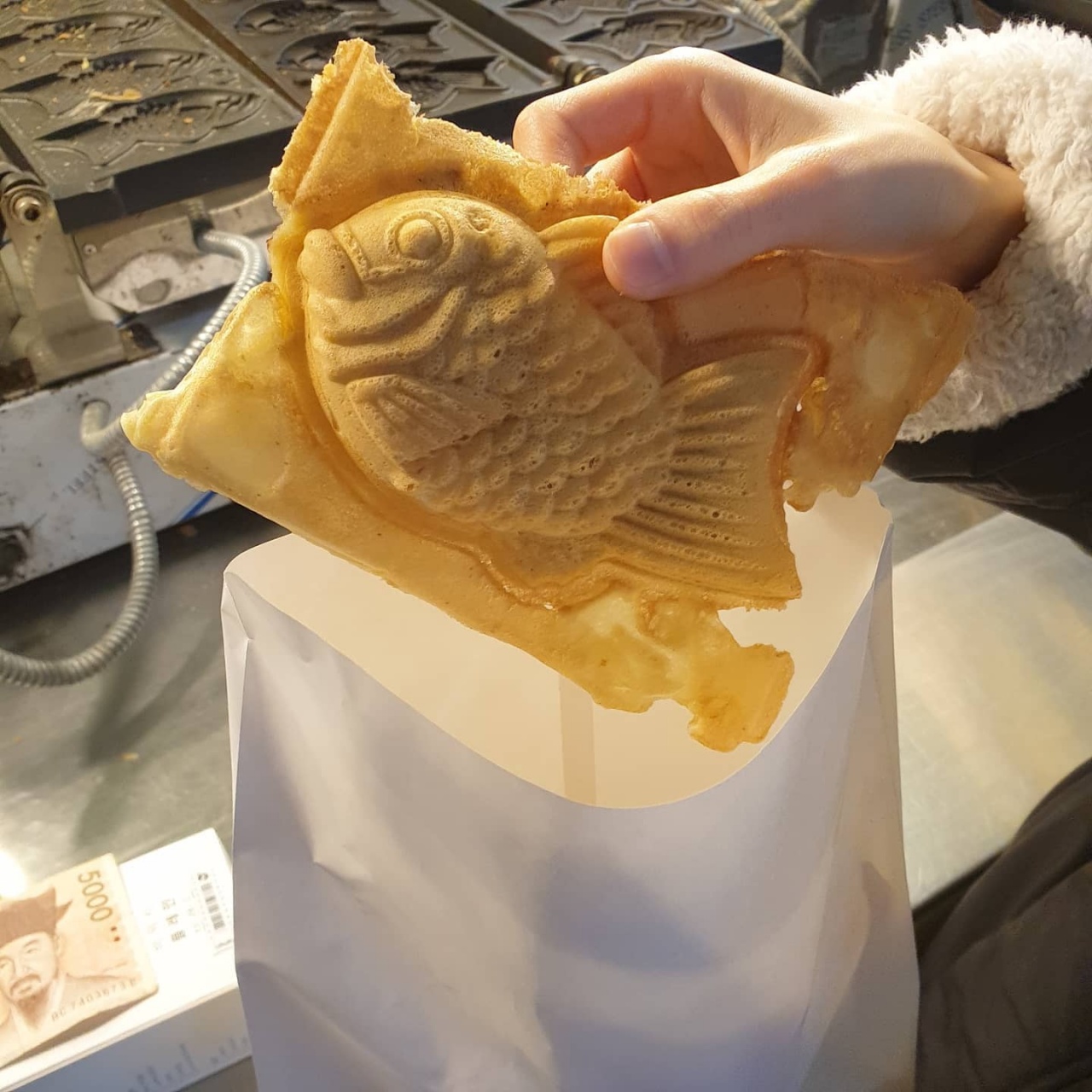 메인 이미지