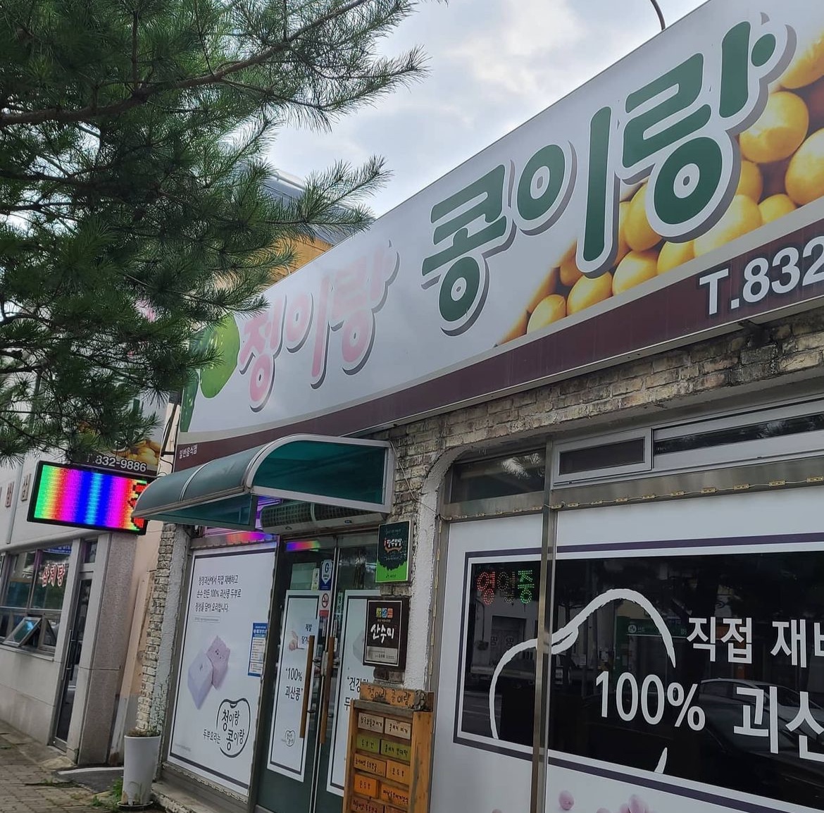 출처 : 청이랑콩이랑 인스타그램 검색 결과