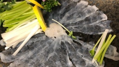 송강 매장 이미지