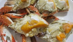 충남서산꽃게집 매장 이미지