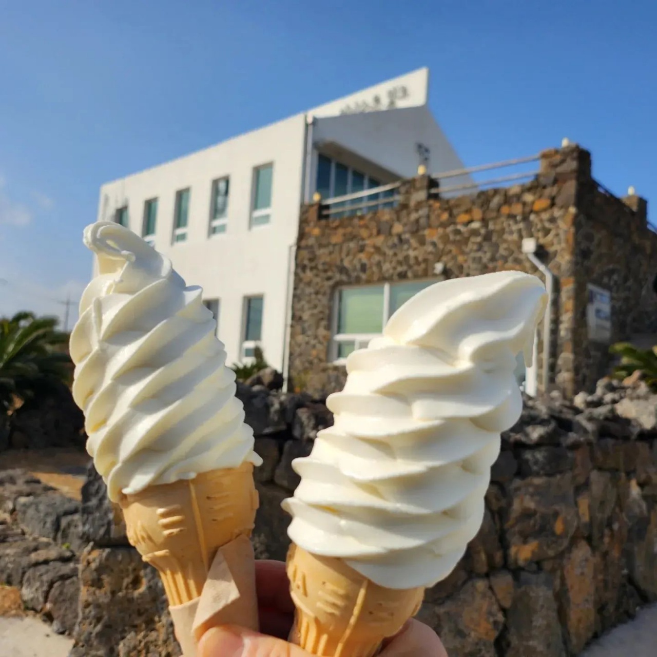어니스트밀크 본점|제주 / 성산/우도, 카페/디저트맛집 | 식신 맛집추천