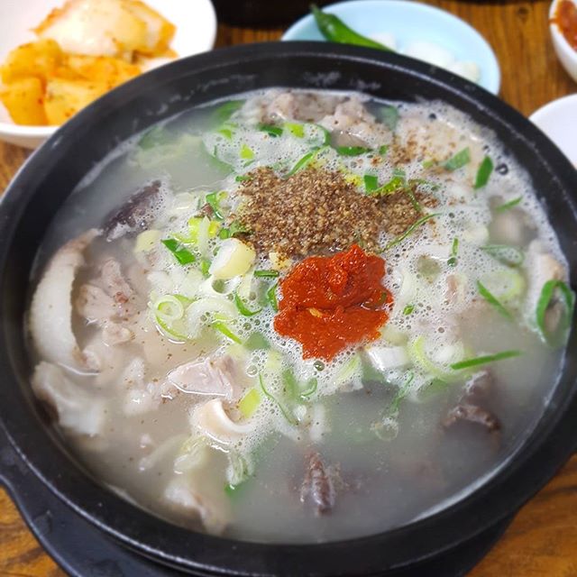 출처 : 해남순대국 인스타그램 검색 결과