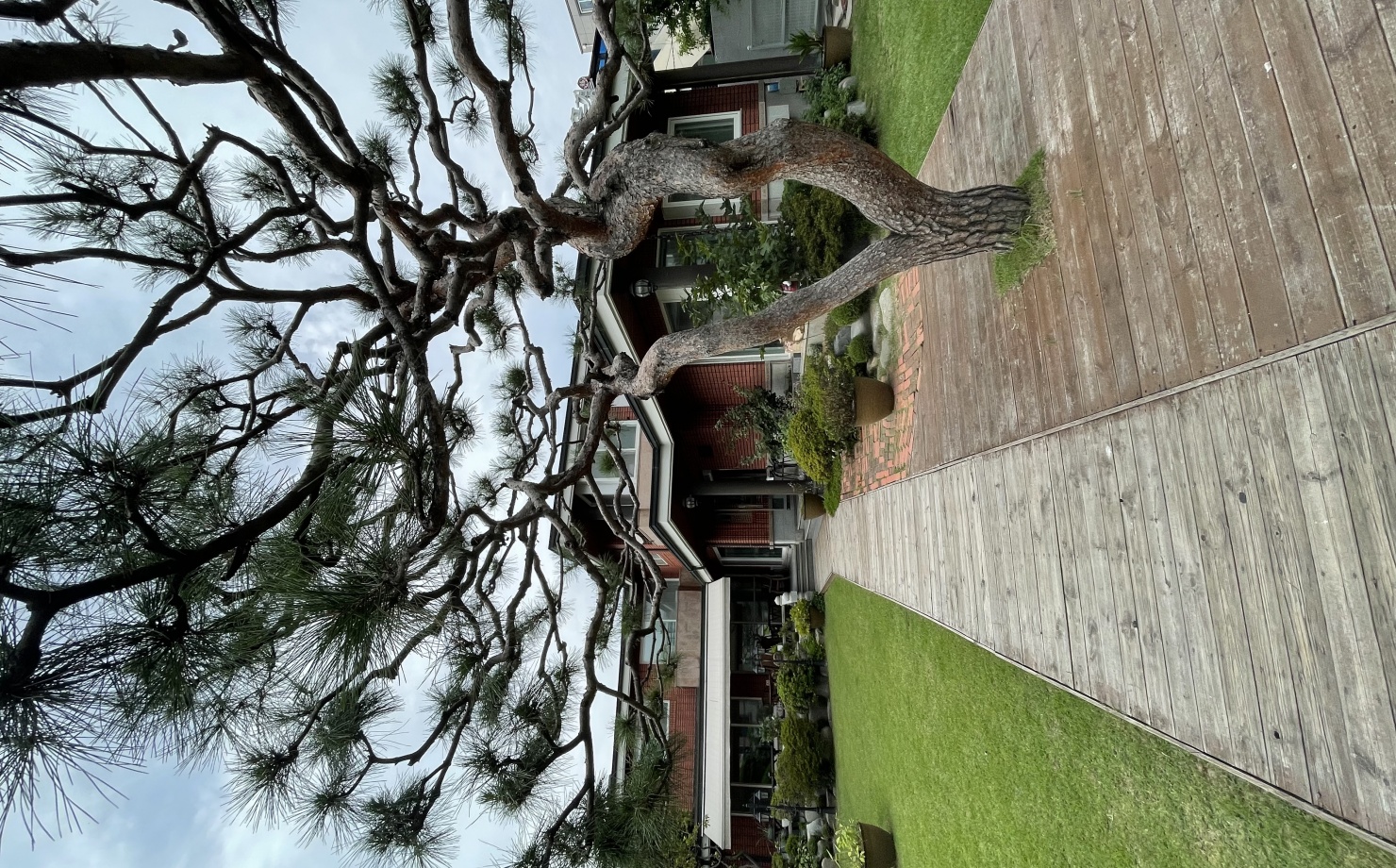 출처 : 매장 공식 점주 제공