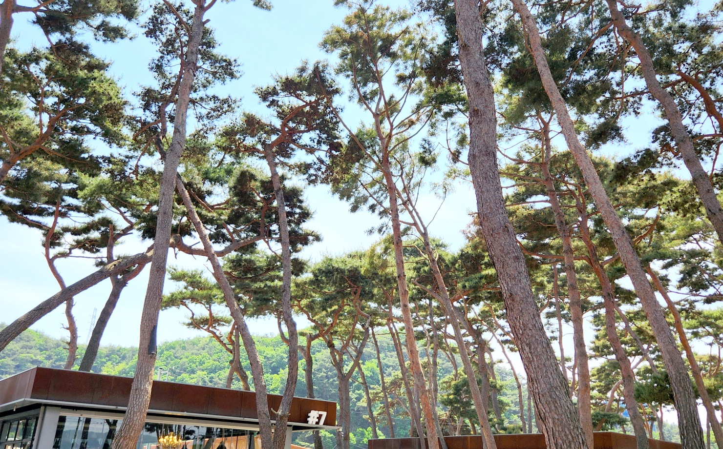 출처 : 매장 공식 점주 제공