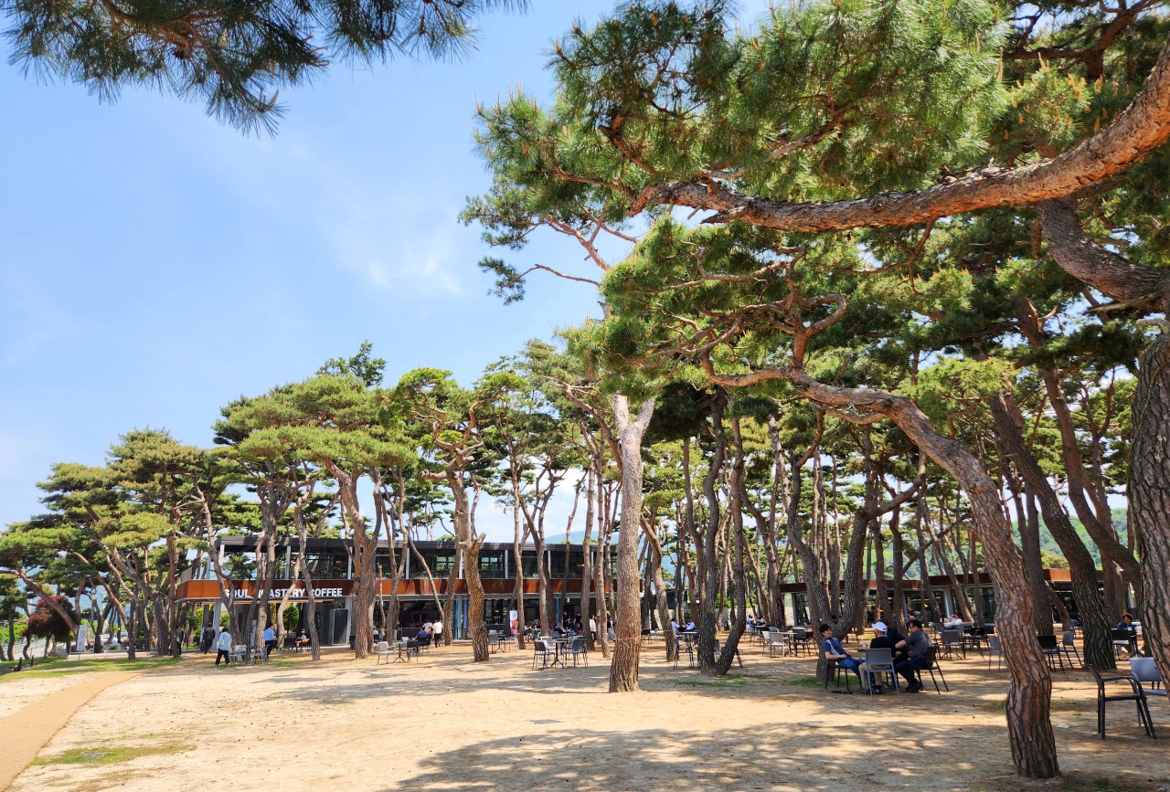 서브1