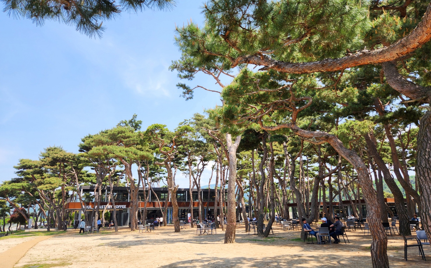 출처 : 매장 공식 점주 제공