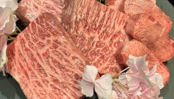 이속우화진 매장 이미지