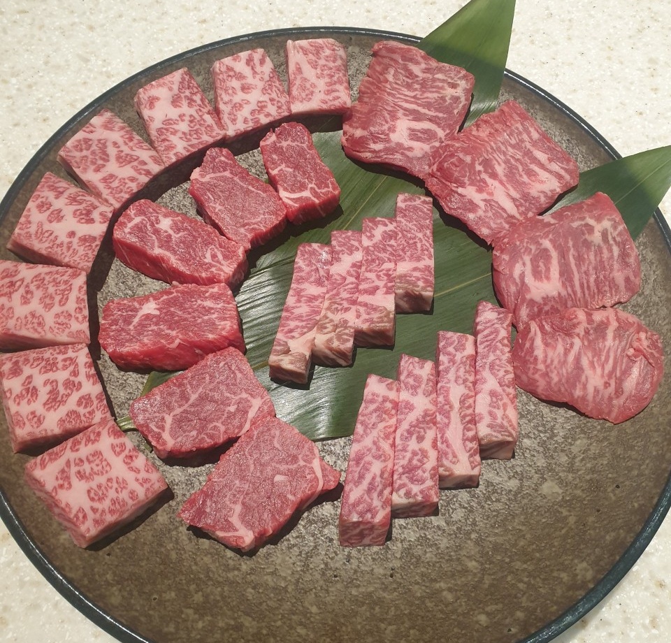 출처 : 더담우R 인스타그램 검색 결과