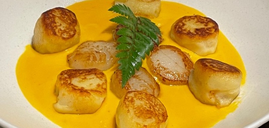 마노디셰프