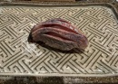 식당사진