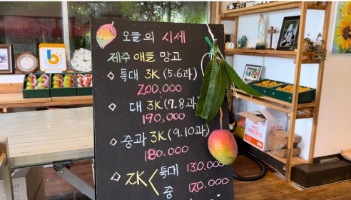 제주테마농원 매장 이미지