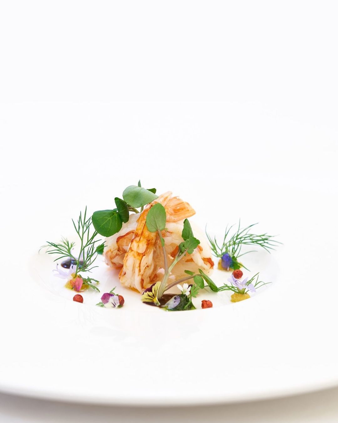 출처 : 제이슨굿맨코튼클럽&화이트크리스마스레스토랑 인스타그램 검색 결과