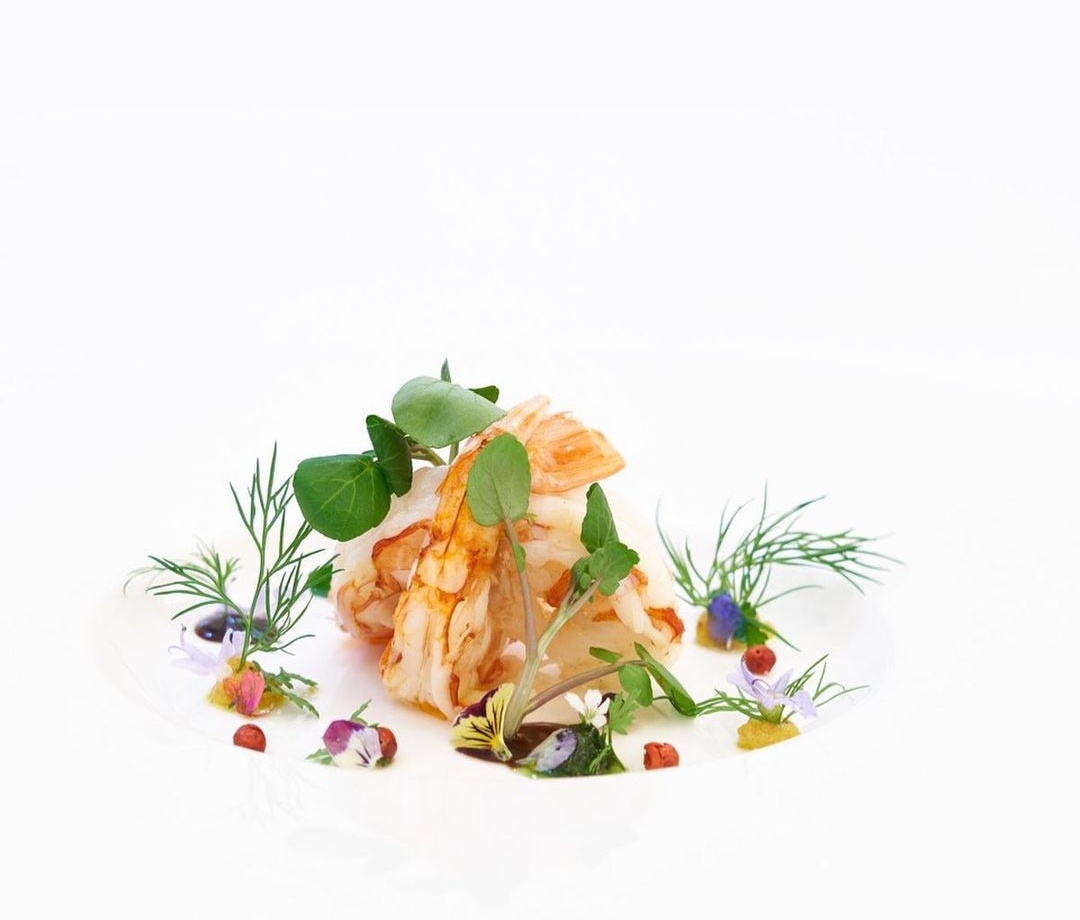 출처 : 제이슨굿맨코튼클럽&화이트크리스마스레스토랑 인스타그램 검색 결과