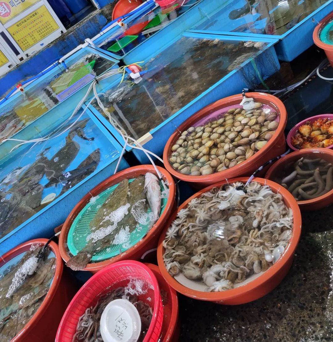 일등수산 - 충남, 보령 | 맛집검색 식신
