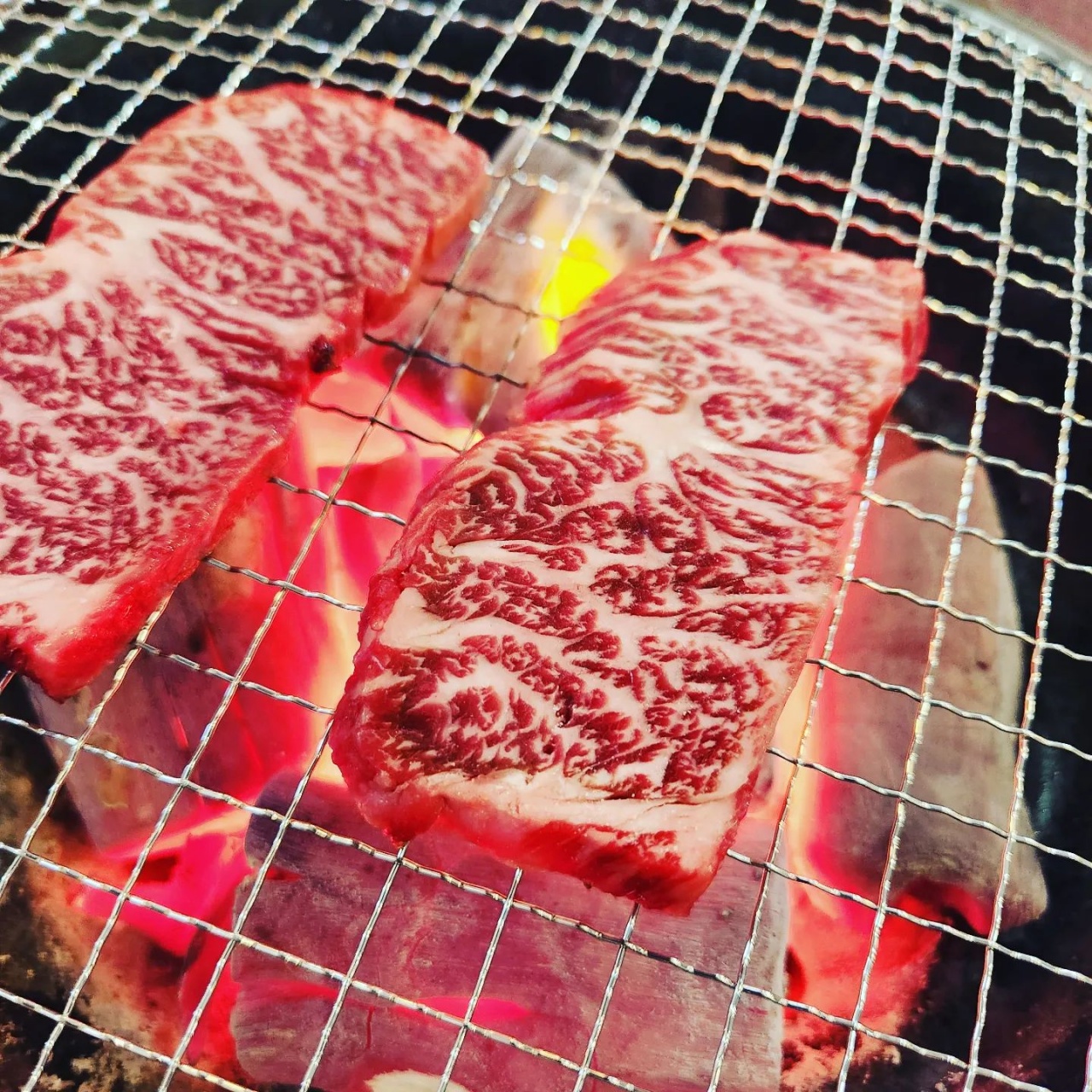 창신한우정육점식당 - 경기, 일산서구 대화 주엽 | 맛집검색 식신