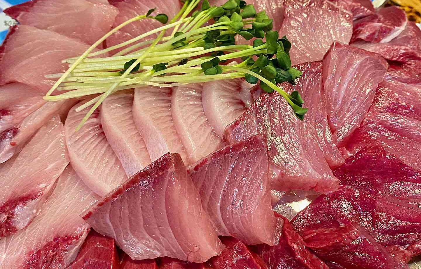 출처 : 목포회집 인스타그램 검색 결과