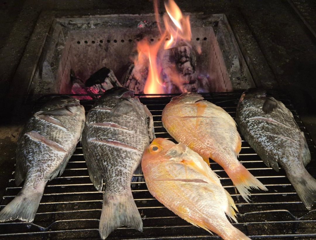 출처 : 사피엔스 거제옥포본점 인스타그램 검색 결과