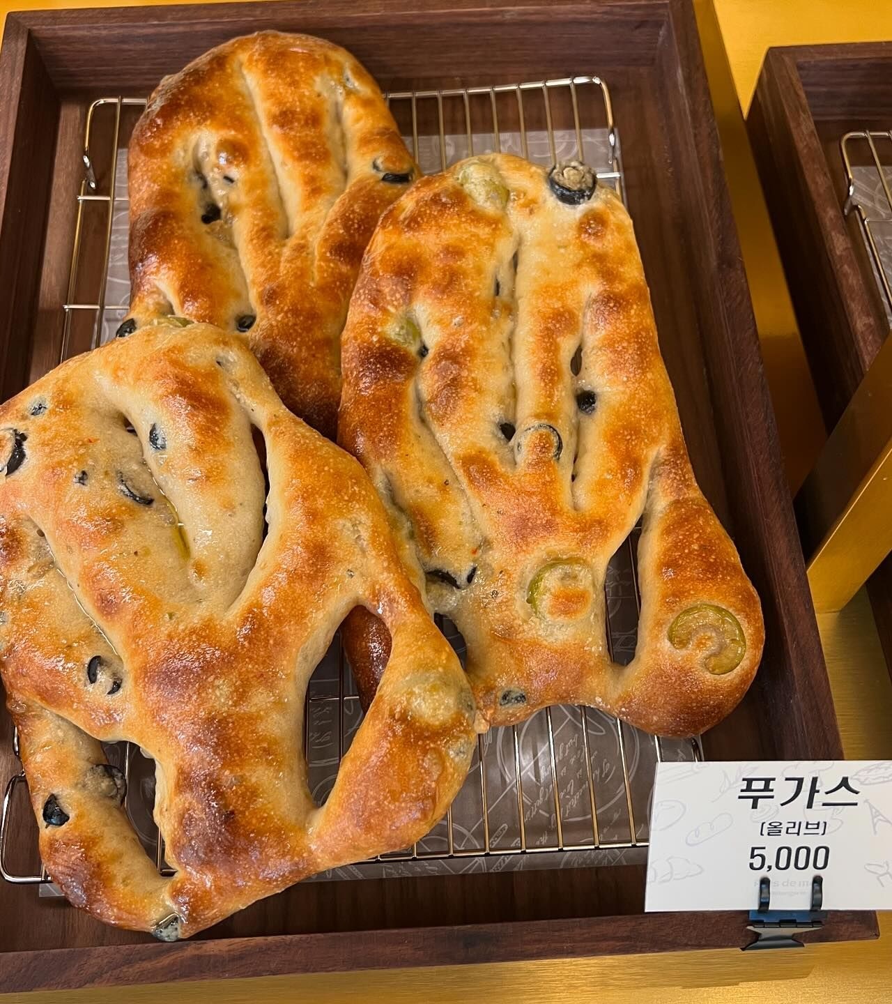 출처 : 프레드므아 청담 인스타그램 검색 결과