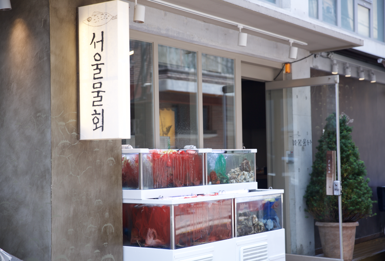 출처 : 서울물회 인스타그램 검색 결과