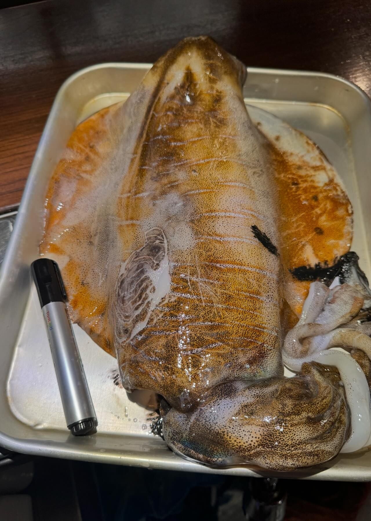 출처 : 실비바 파도 인스타그램 검색 결과