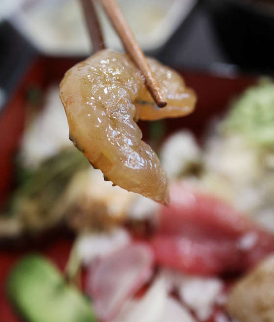 서브2