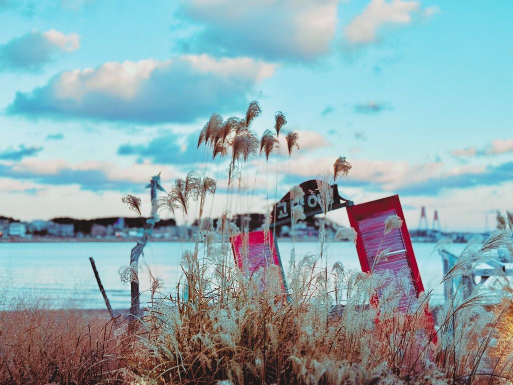 출처 : 매장 공식 점주 제공